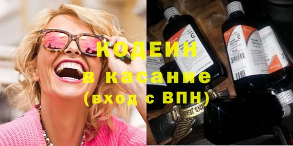 шишки Покачи